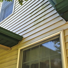 Professional-House-Washing-Completed-in-Ceresco-Michigan 0